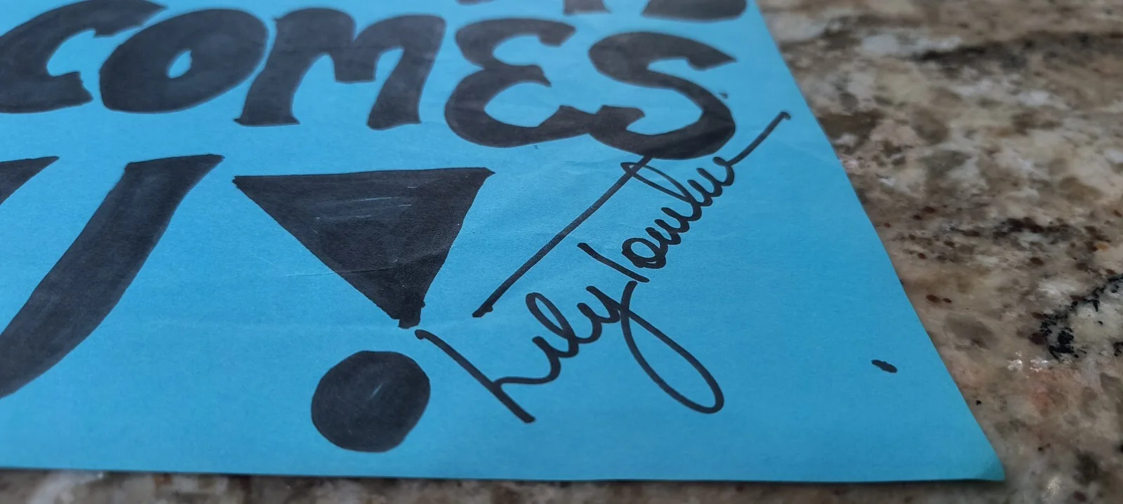 Lily Tomlin — LILY TOMLIN HAND SIGNED Autographed 8 1/2" X 11" Handmade Fan Sign 2008 #2, изображение 2