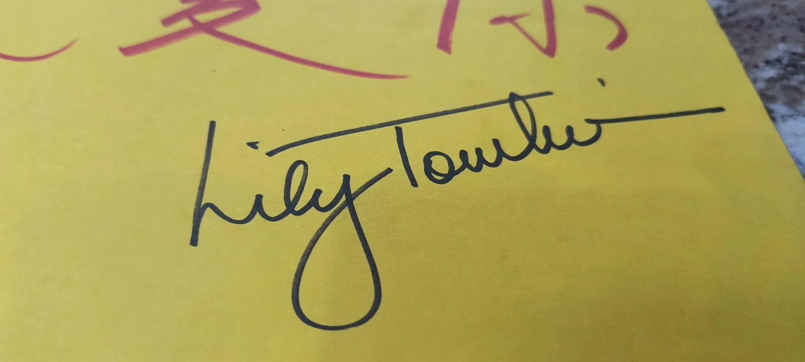 Lily Tomlin — LILY TOMLIN HAND SIGNED Autographed 8 1/2" X 11" Handmade Fan Sign 2008 #3, изображение 2