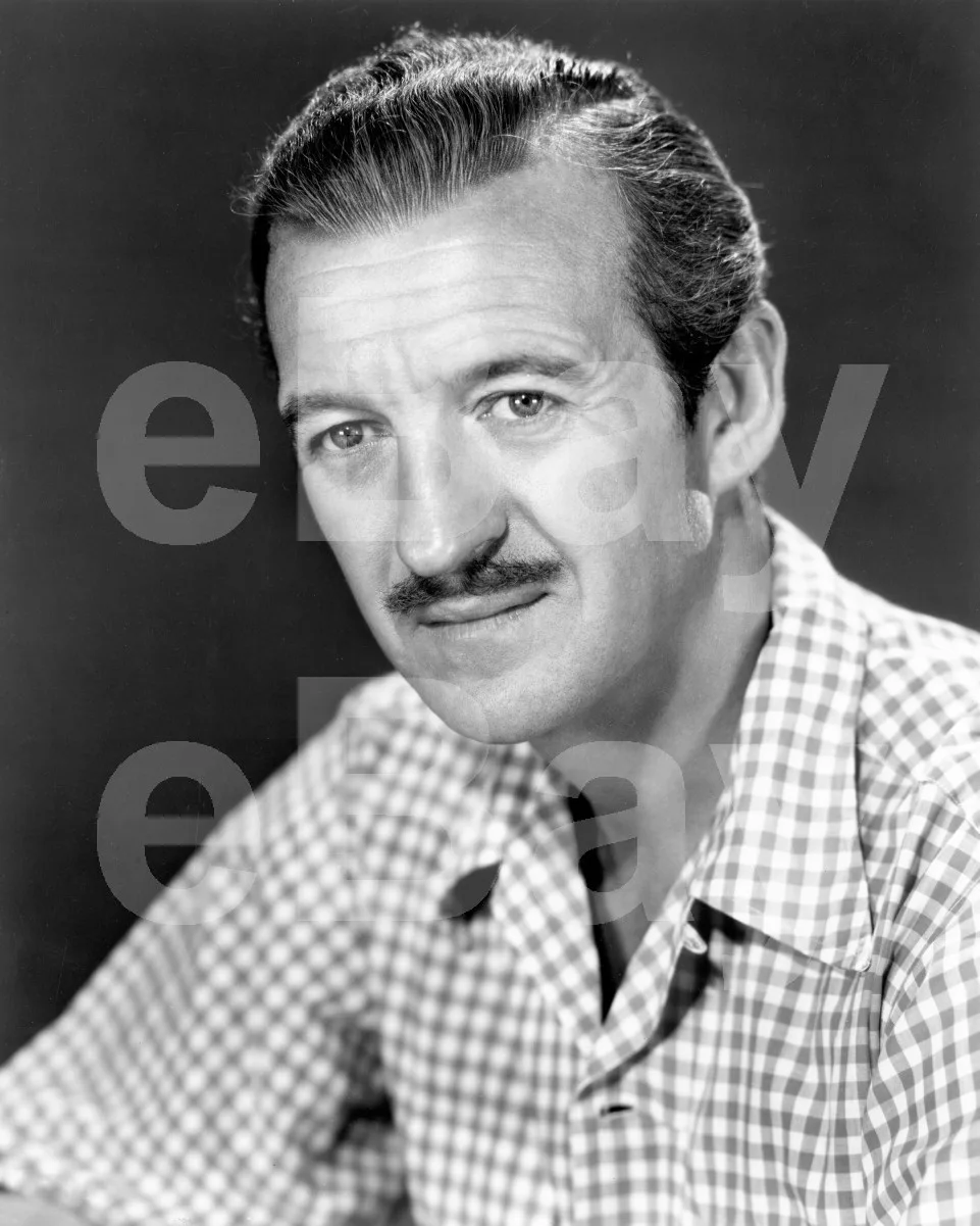 David Niven 16x12 Photo Poster Print, image 4