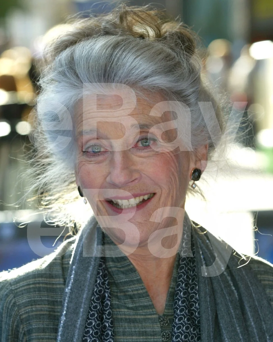 Phyllida Law 16x12 Photo Poster Print, image 4