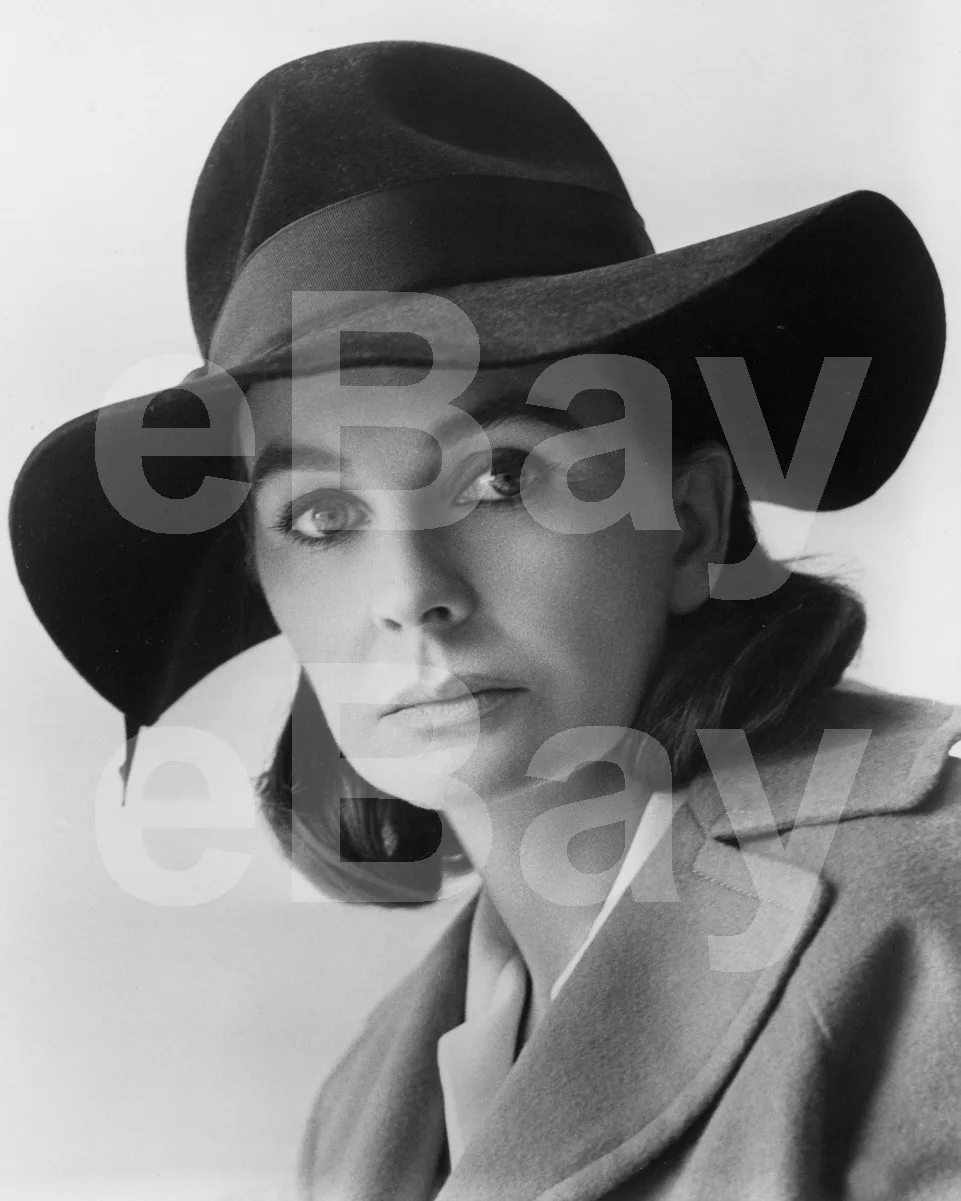 Jean Simmons 16x12 Photo Poster Print, изображение 4