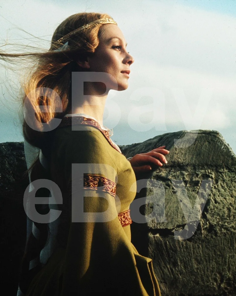 Francesca Annis 16x12 Photo Poster Print, image 4