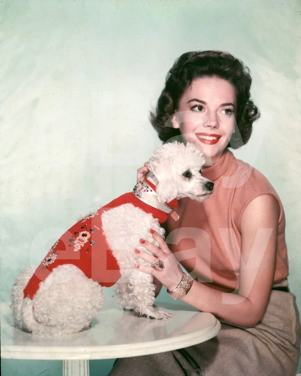 Natalie Wood 16x12 Photo Poster Print, image 4