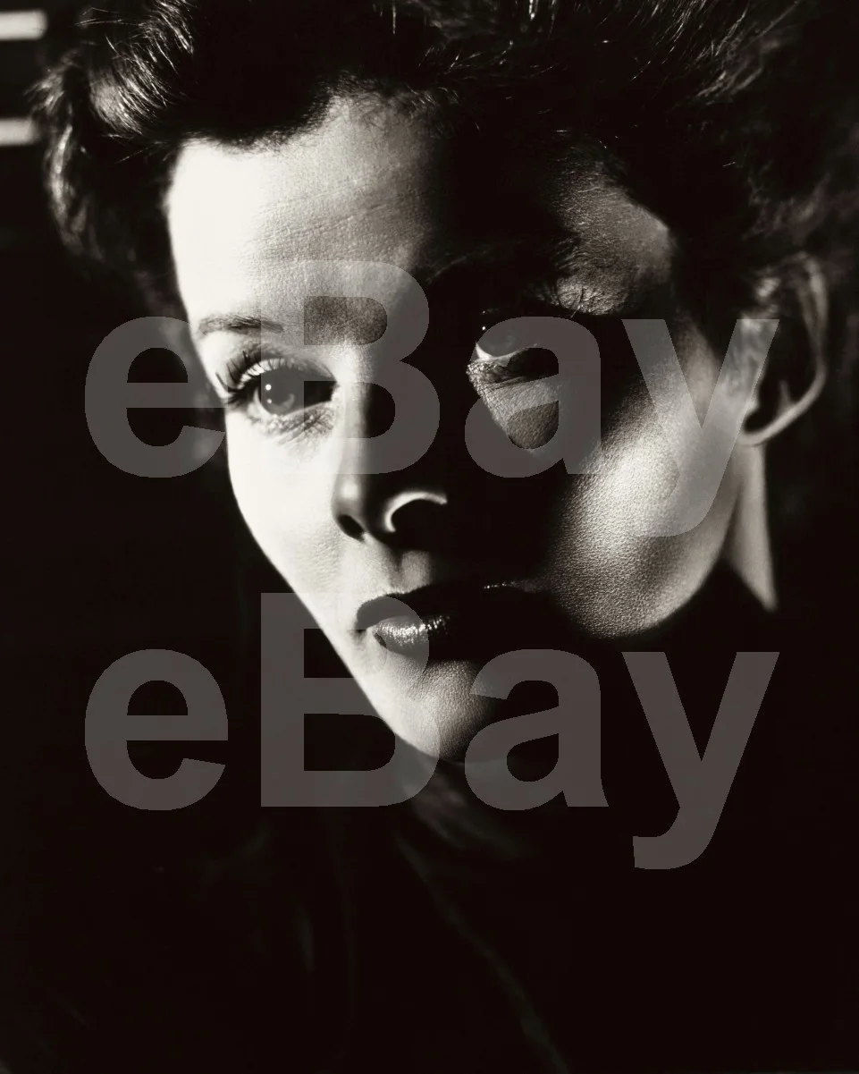 Katherine Hepburn 16x12 Photo Poster Print, изображение 4