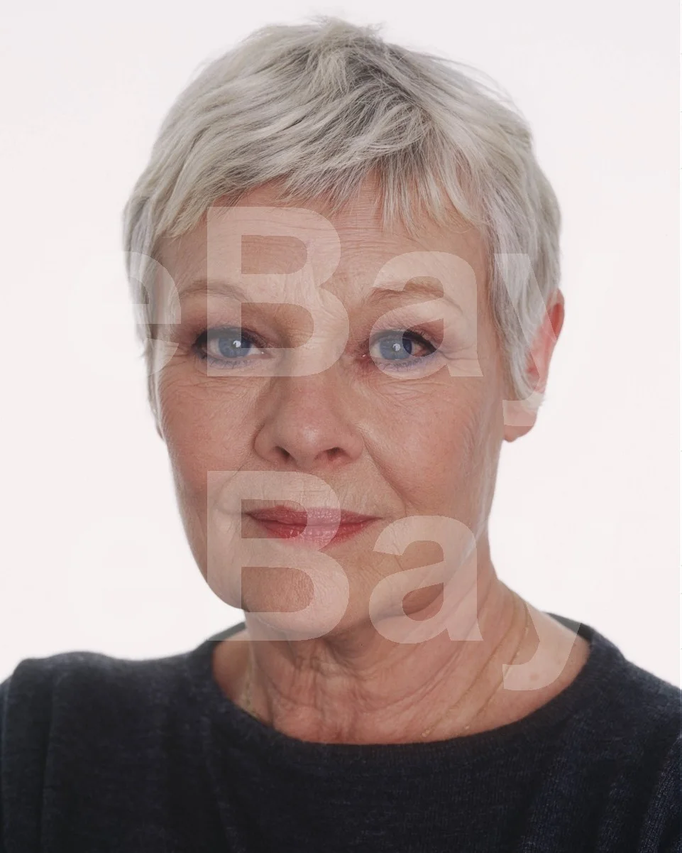 Judi Dench 16x12 Photo Poster Print, image 4