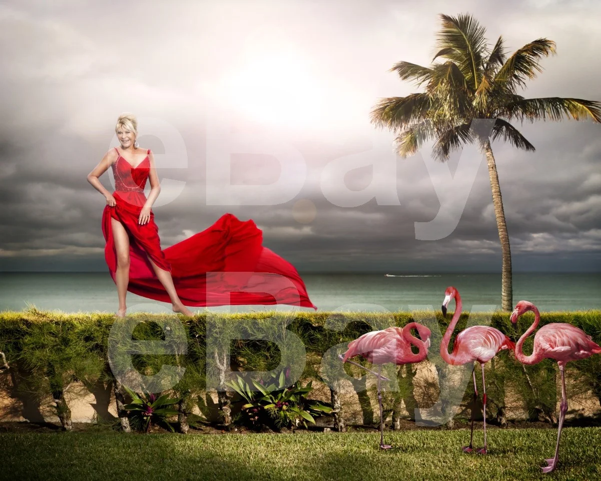 Ivana Trump 16x12 Photo Poster Print, image 4