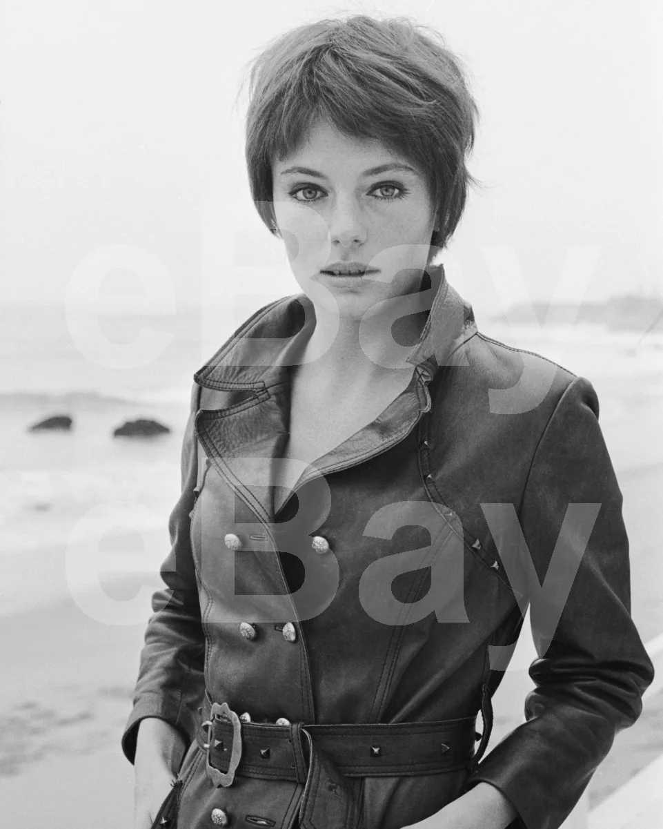 Jacqueline Bisset 16x12 Photo Poster Print, изображение 4