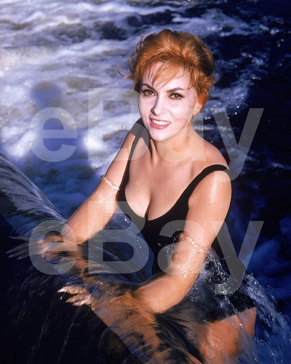 Gina Lollobrigida 16x12 Photo Poster Print, image 4