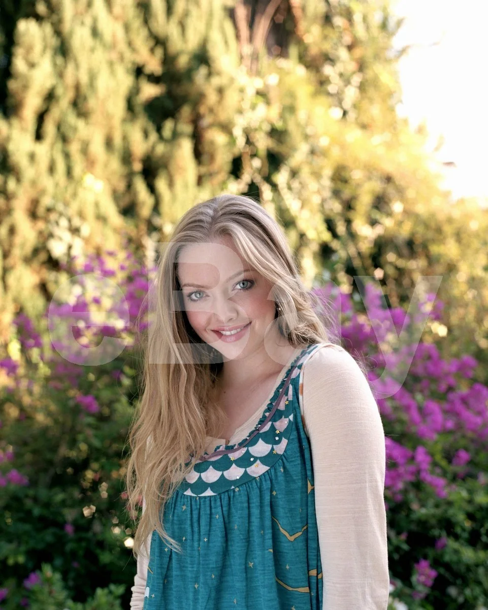 Amanda Seyfried 16x12 Photo Poster Print, image 4