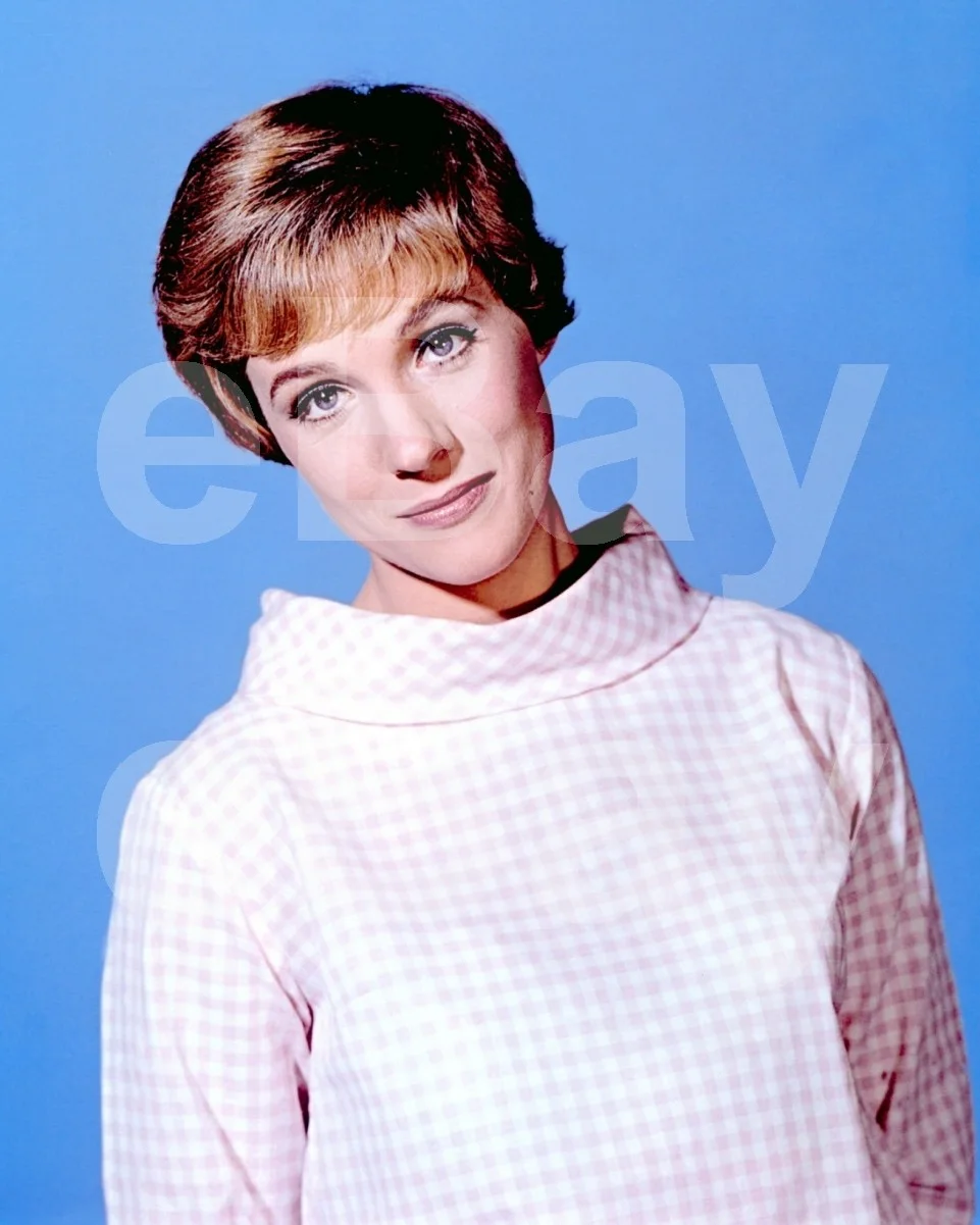 Julie Andrews 16x12 Photo Poster Print, image 4