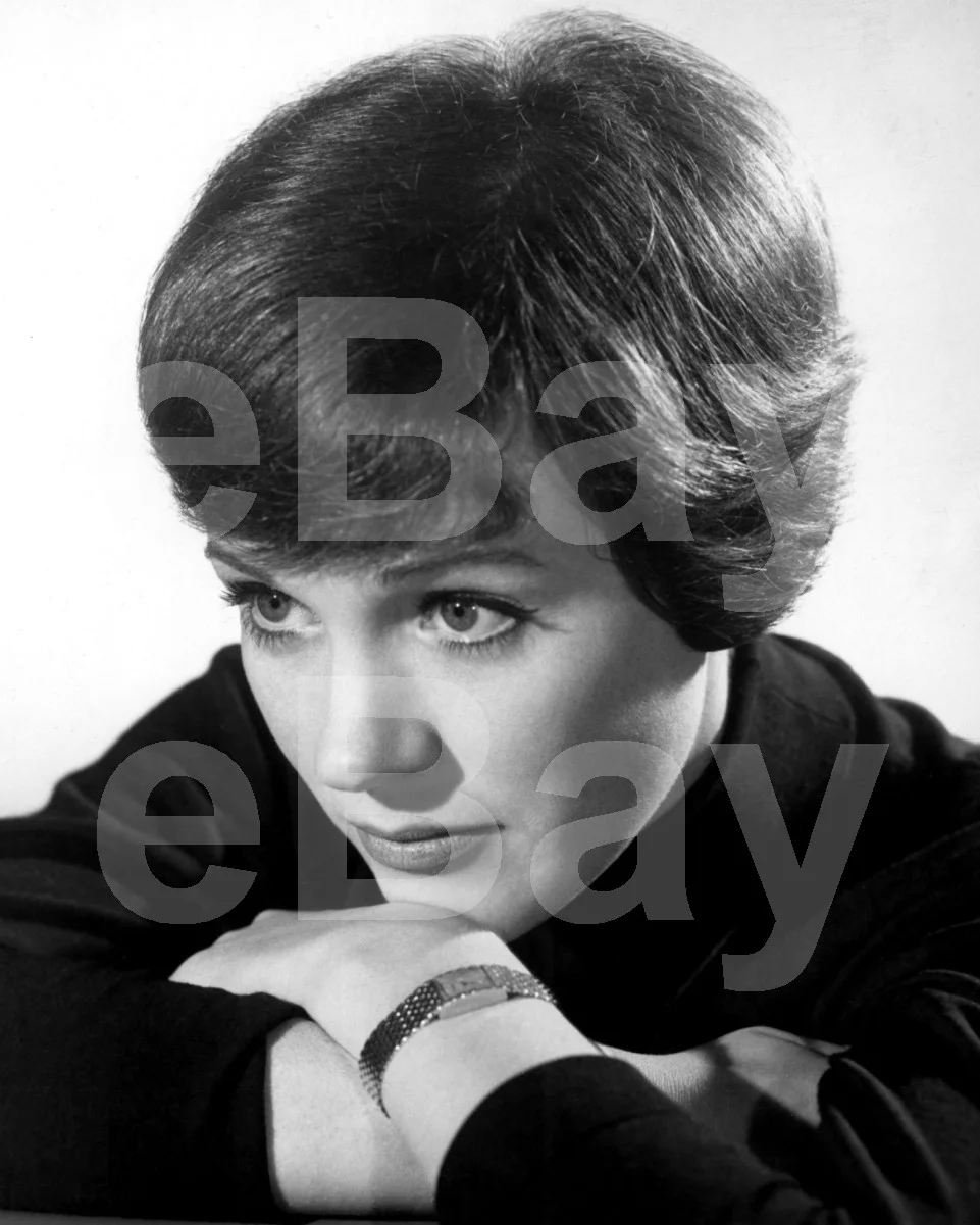 Julie Andrews 16x12 Photo Poster Print, изображение 4