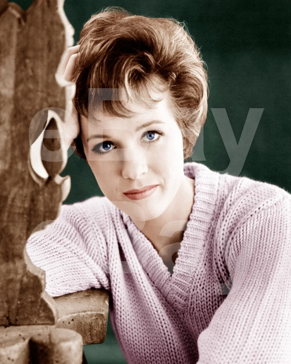 Julie Andrews 16x12 Photo Poster Print, image 4