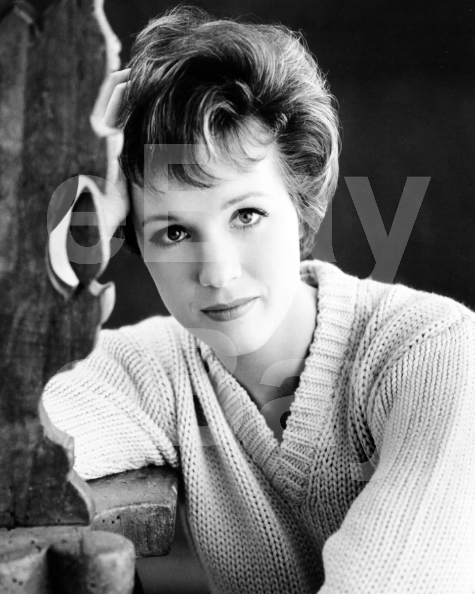 Julie Andrews 16x12 Photo Poster Print, image 4
