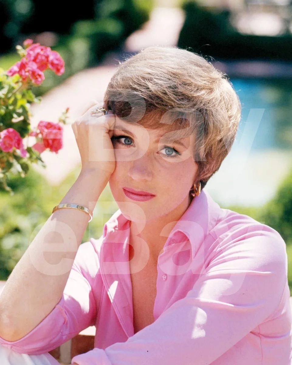 Julie Andrews 16x12 Photo Poster Print, image 4