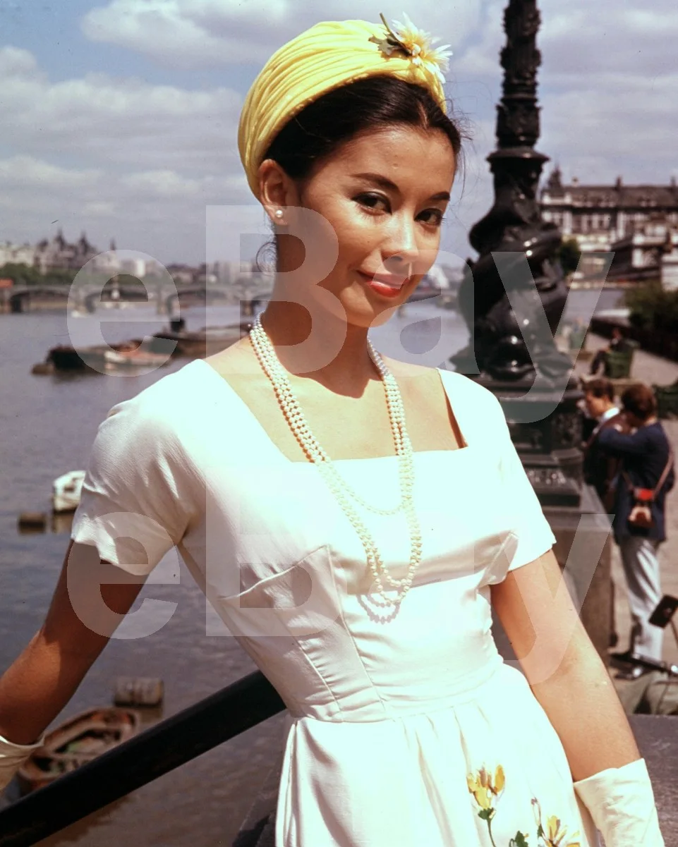 France Nuyen 16x12 Photo Poster Print, изображение 4