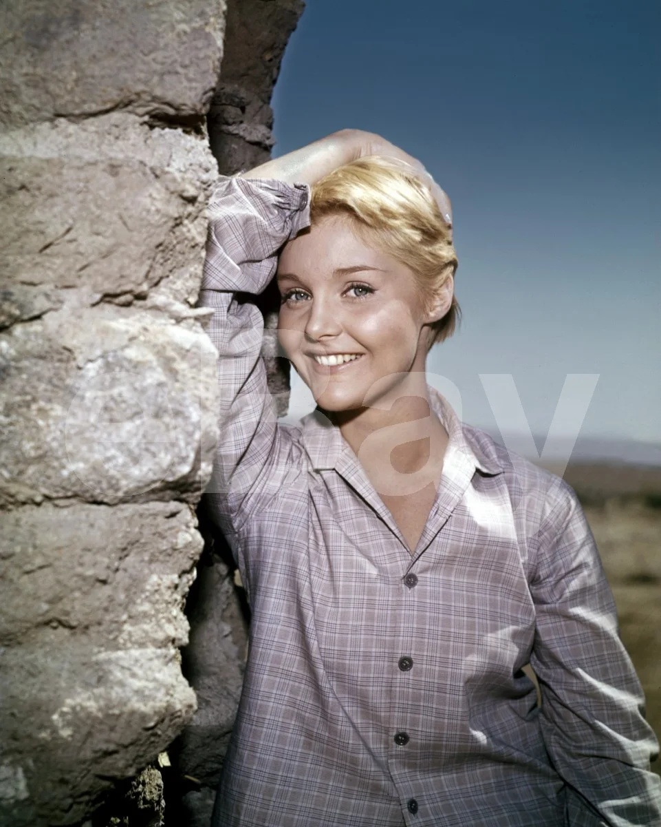 Carol Lynley 16x12 Photo Poster Print, изображение 4