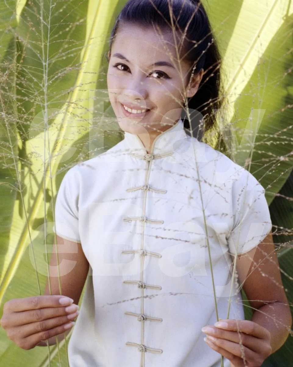 France Nuyen 16x12 Photo Poster Print, image 4