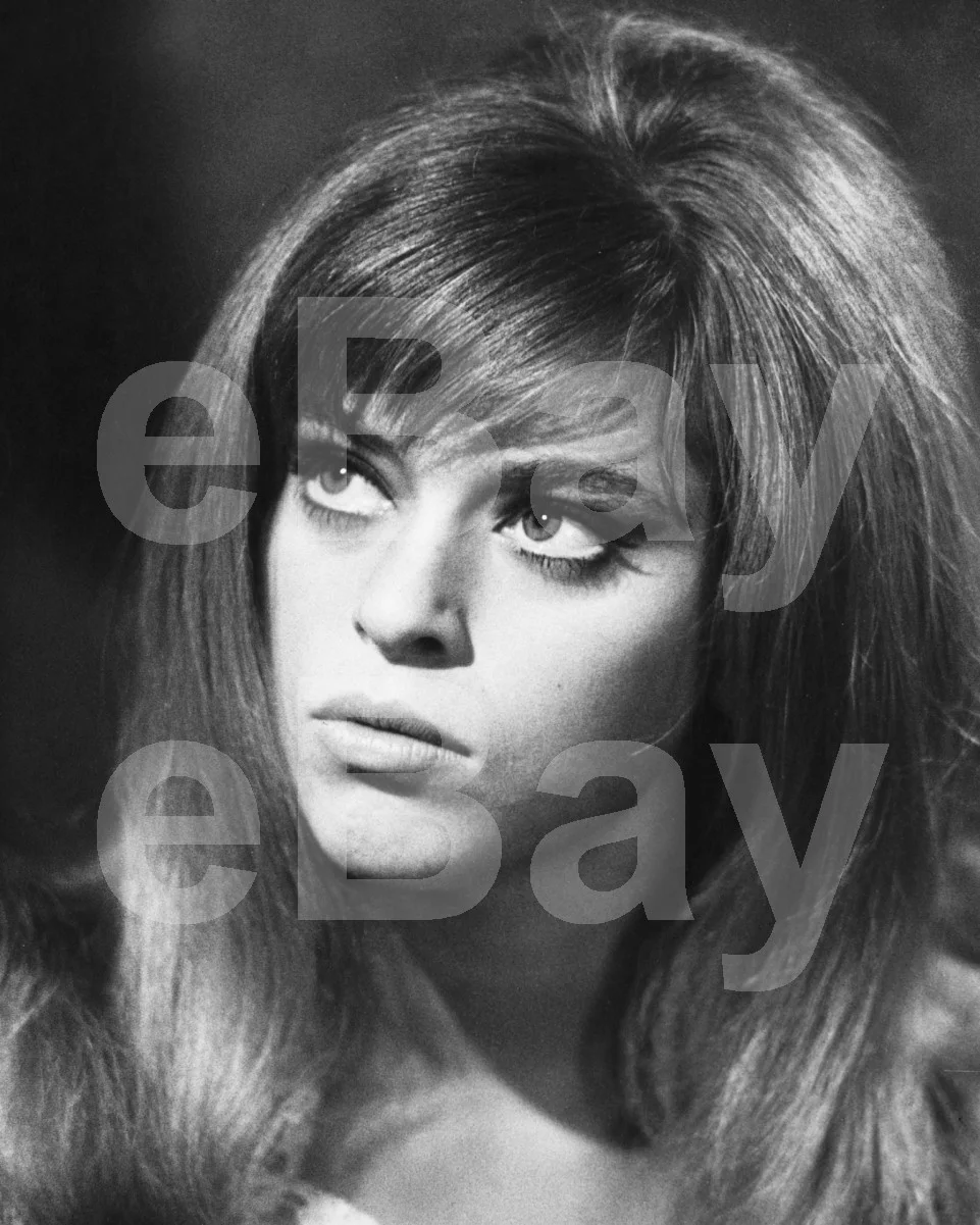 Edina Ronay 16x12 Photo Poster Print, изображение 4