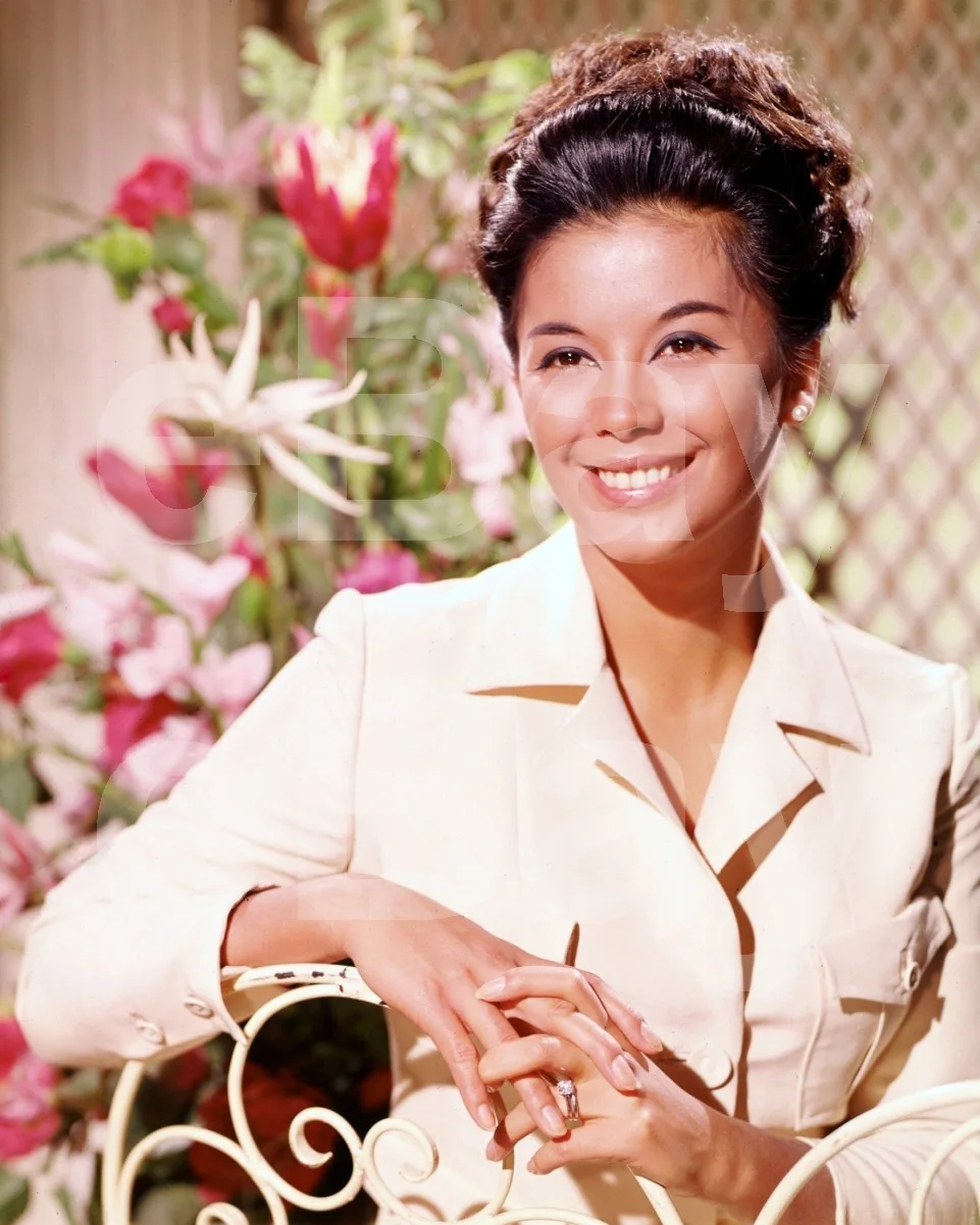France Nuyen 16x12 Photo Poster Print, изображение 4