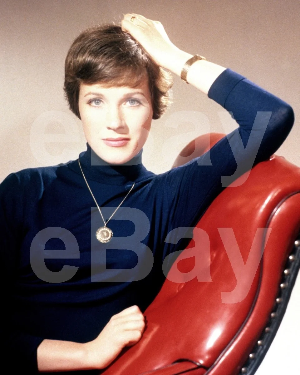 Julie Andrews 16x12 Photo Poster Print, image 4