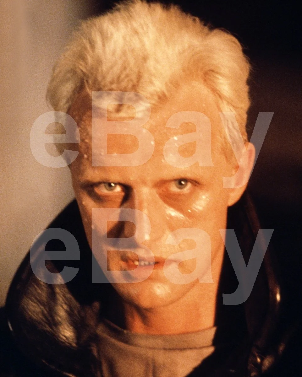 Blade Runner (1982) Rutger Hauer 16x12 Photo Poster Print, изображение 4