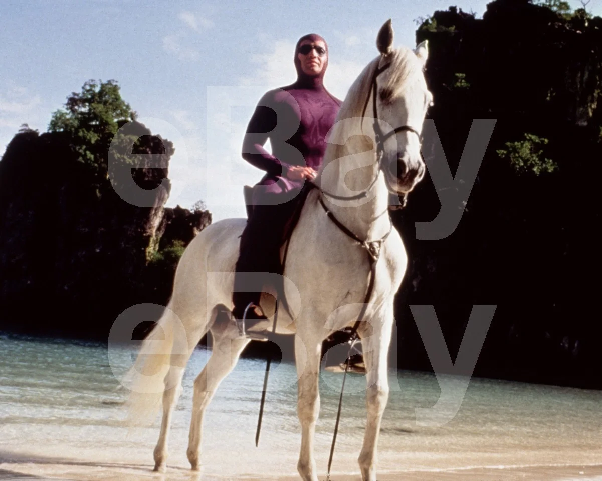 The Phantom (1996) Billy Zane 16x12 Photo Poster Print, изображение 4