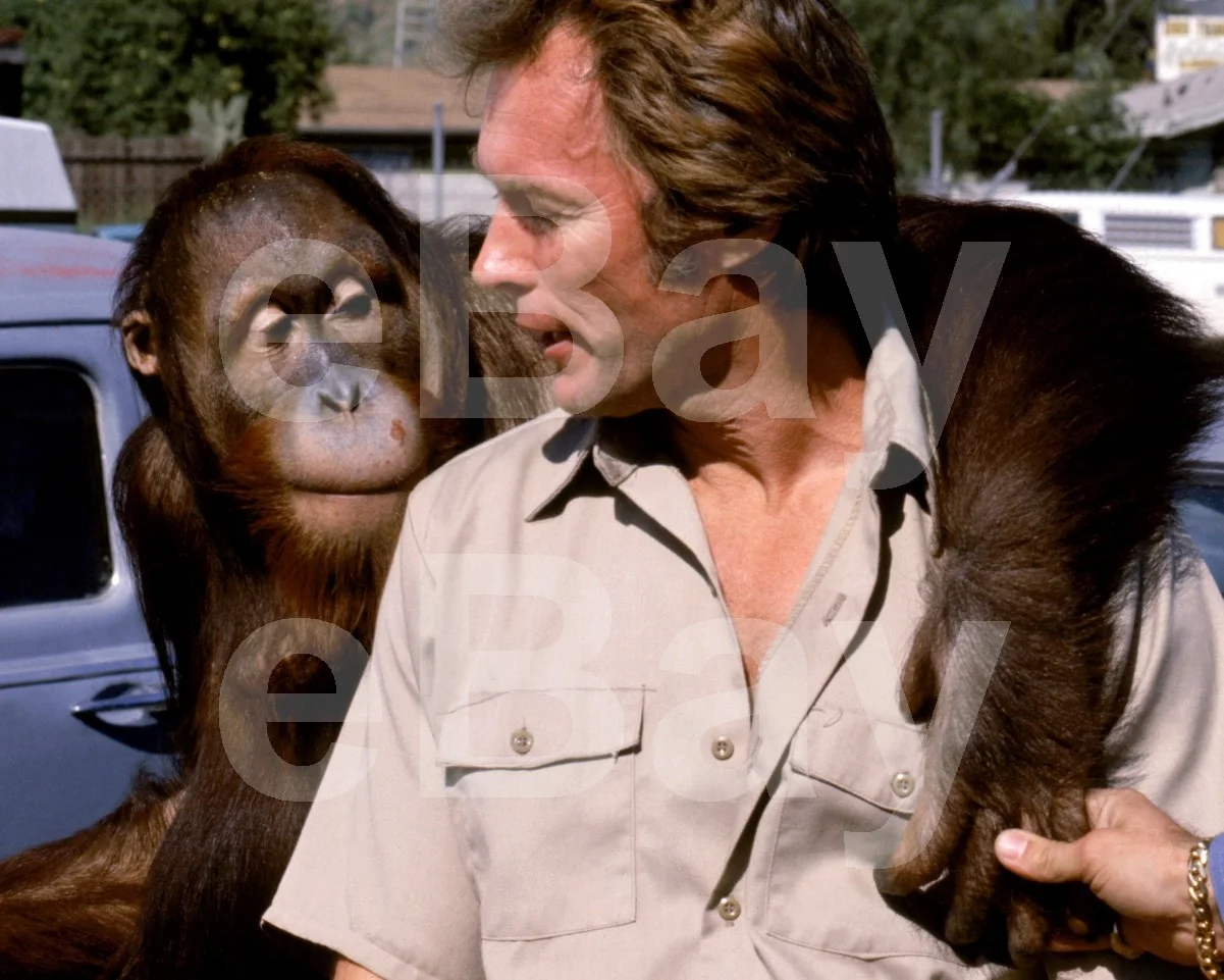 Every Which Way But Loose (1978) Clint Eastwood 16x12 Photo Poster Print, изображение 4