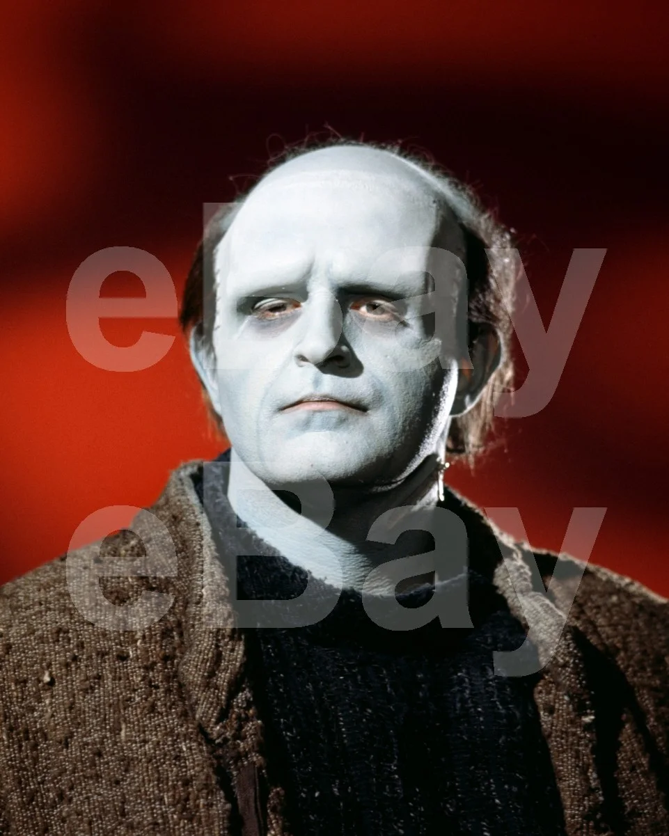 Young Frankenstein (1974) Peter Boyle 16x12 Photo Poster Print, image 4