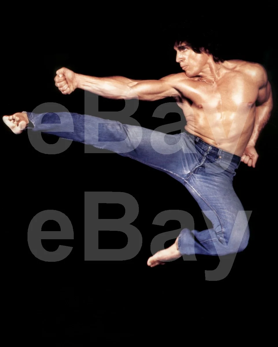 American Ninja 3: Blood Hunt (1989) David Bradley 16x12 Photo Poster Print, изображение 4