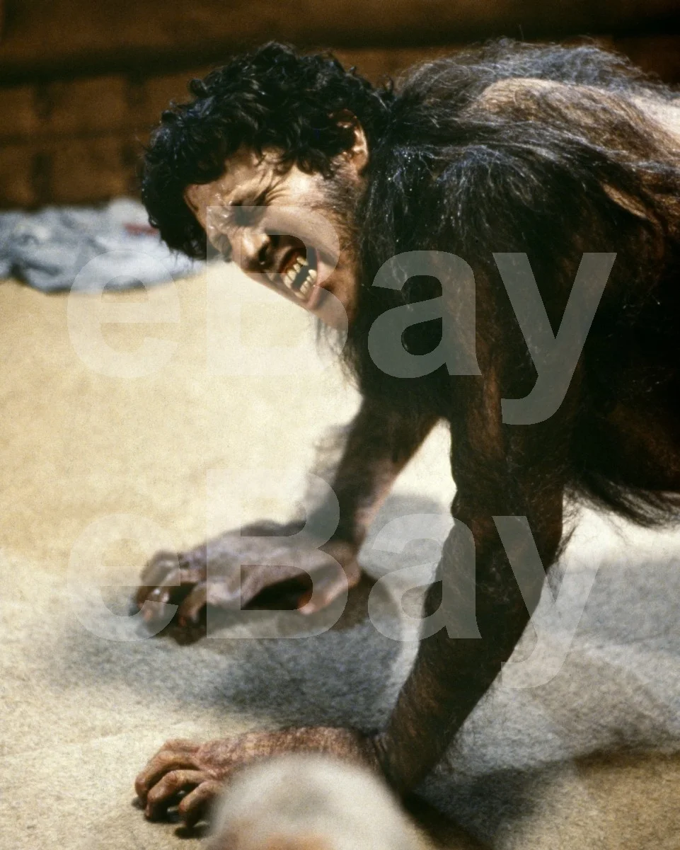 An American Werewolf in London (1981) David Naughton 16x12 Photo Poster Print, изображение 4