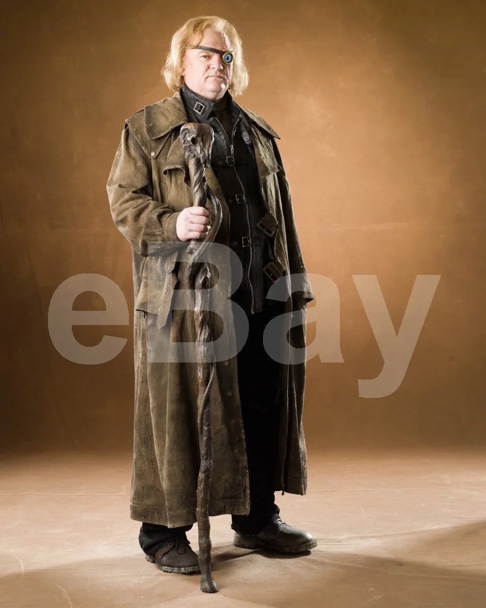 Harry Potter and the Order of the Phoenix (2007) Brendan Gleeson 16x12 Photo, изображение 4