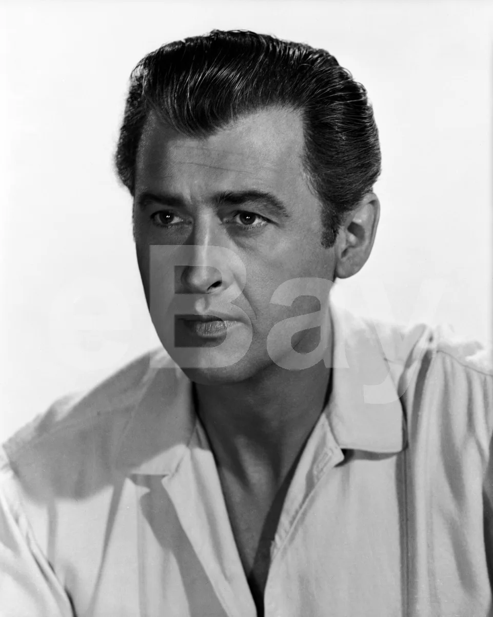 All the Brothers Were Valiant (1953) Stewart Granger 16x12 Photo Poster Print, изображение 4