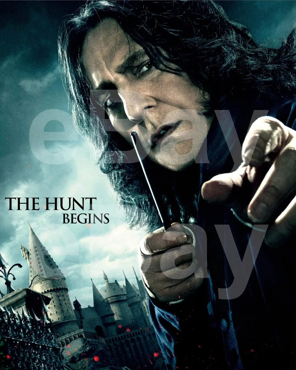 Harry Potter and the Deathly Hallows: Part 1 (2010) Alan Rickman 16x12 Photo, изображение 4