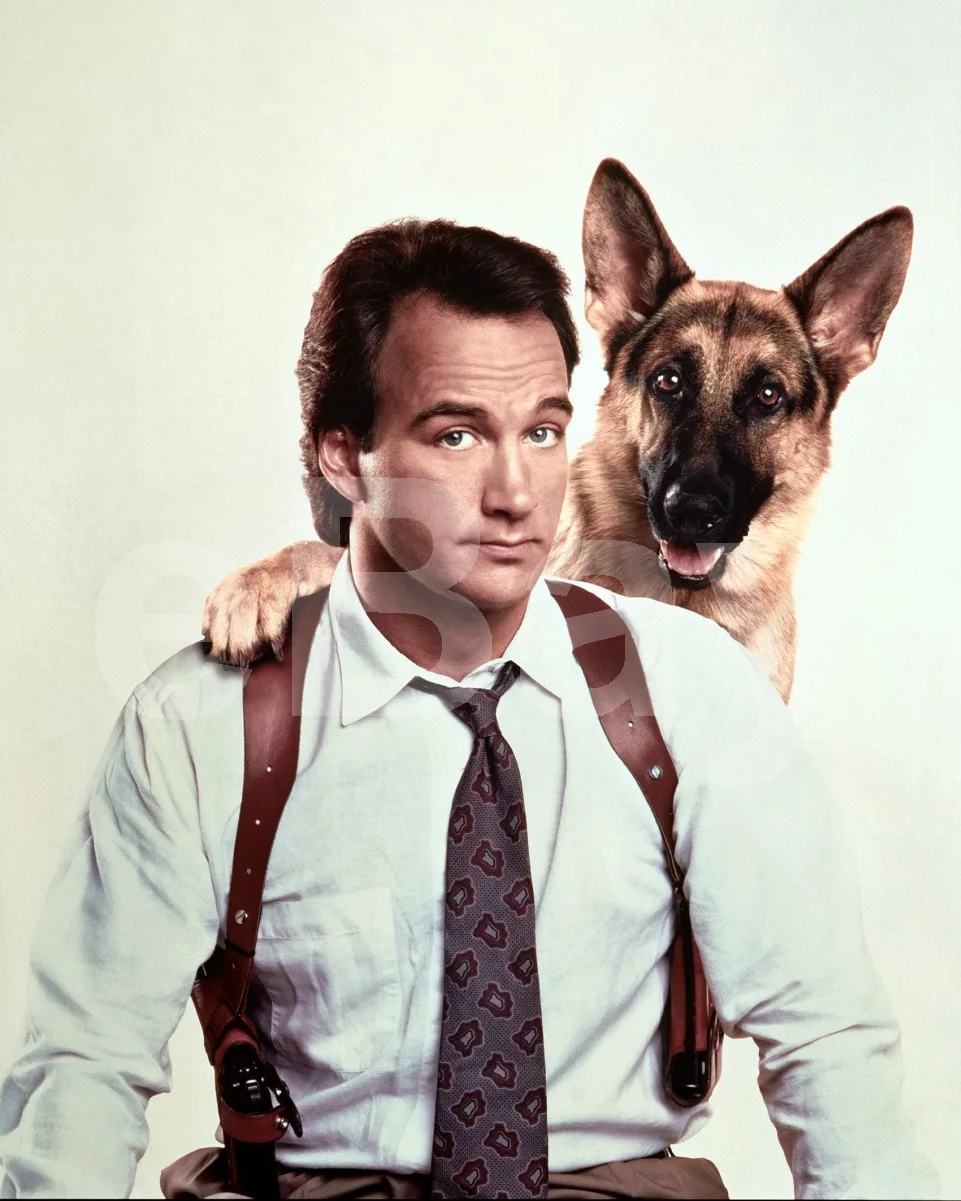 K9 (1989) James Belushi 16x12 Photo Poster Print, изображение 4
