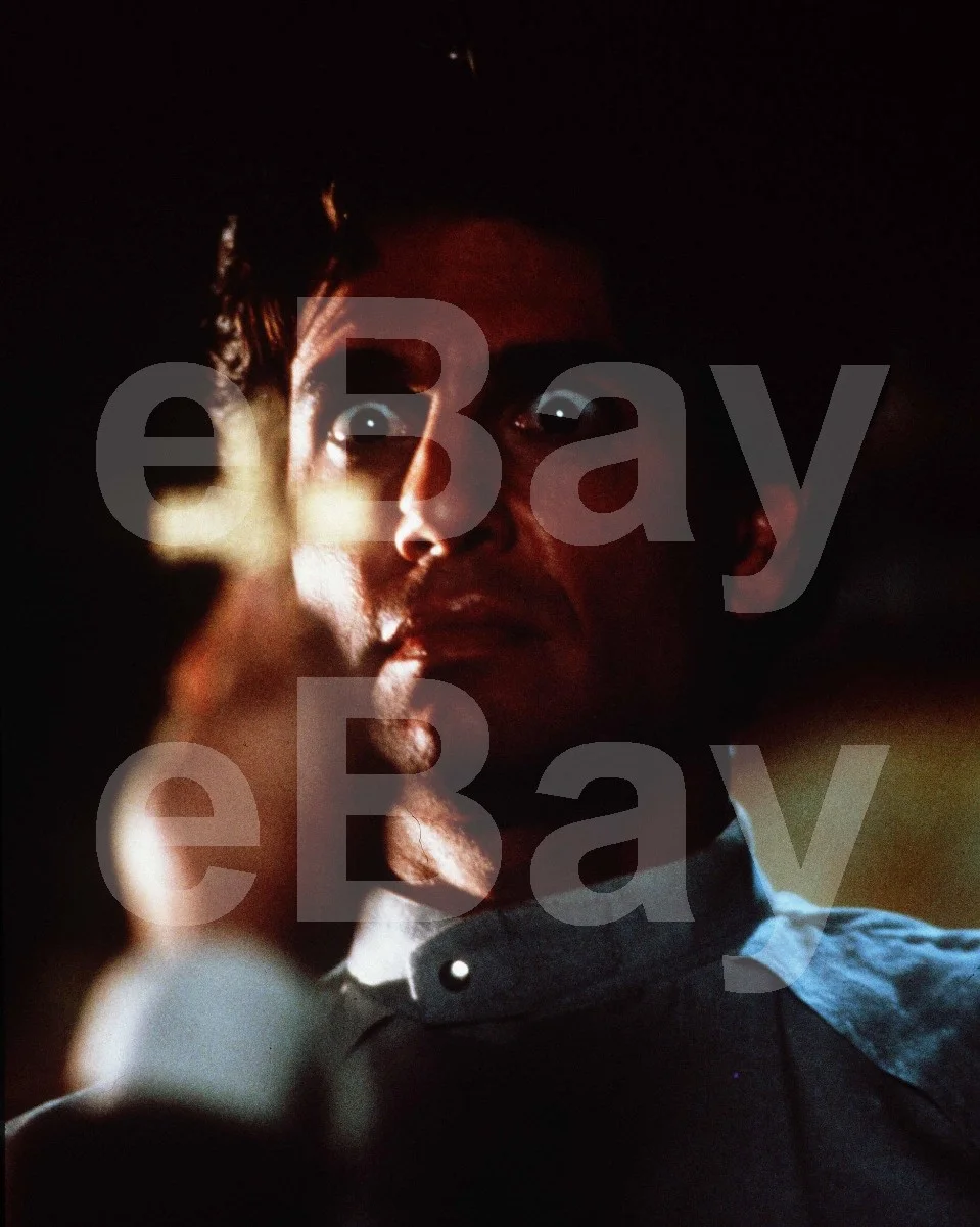 Fright Night (1985) Chris Sarandon 16x12 Photo, image 4