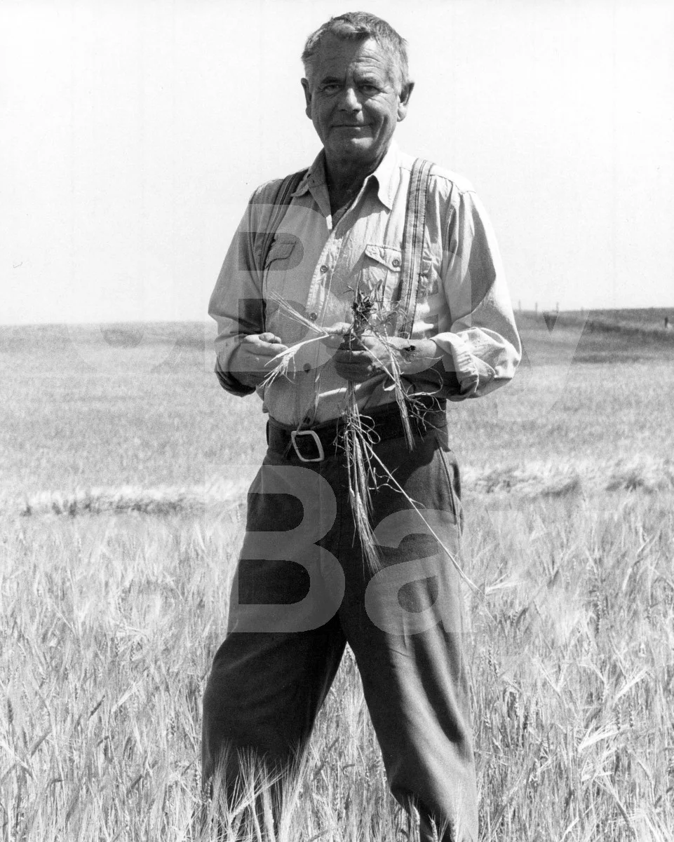 Superman The Movie (1978) Glenn Ford 16x12 Photo Poster Print, изображение 4