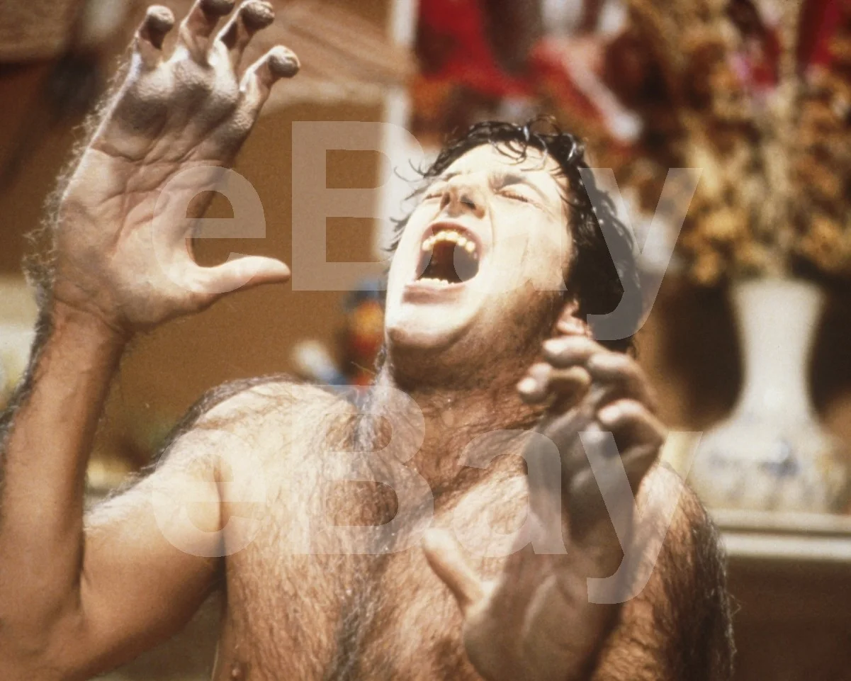 An American Werewolf in London (1981) David Naughton 16x12 Photo Poster Print, изображение 4