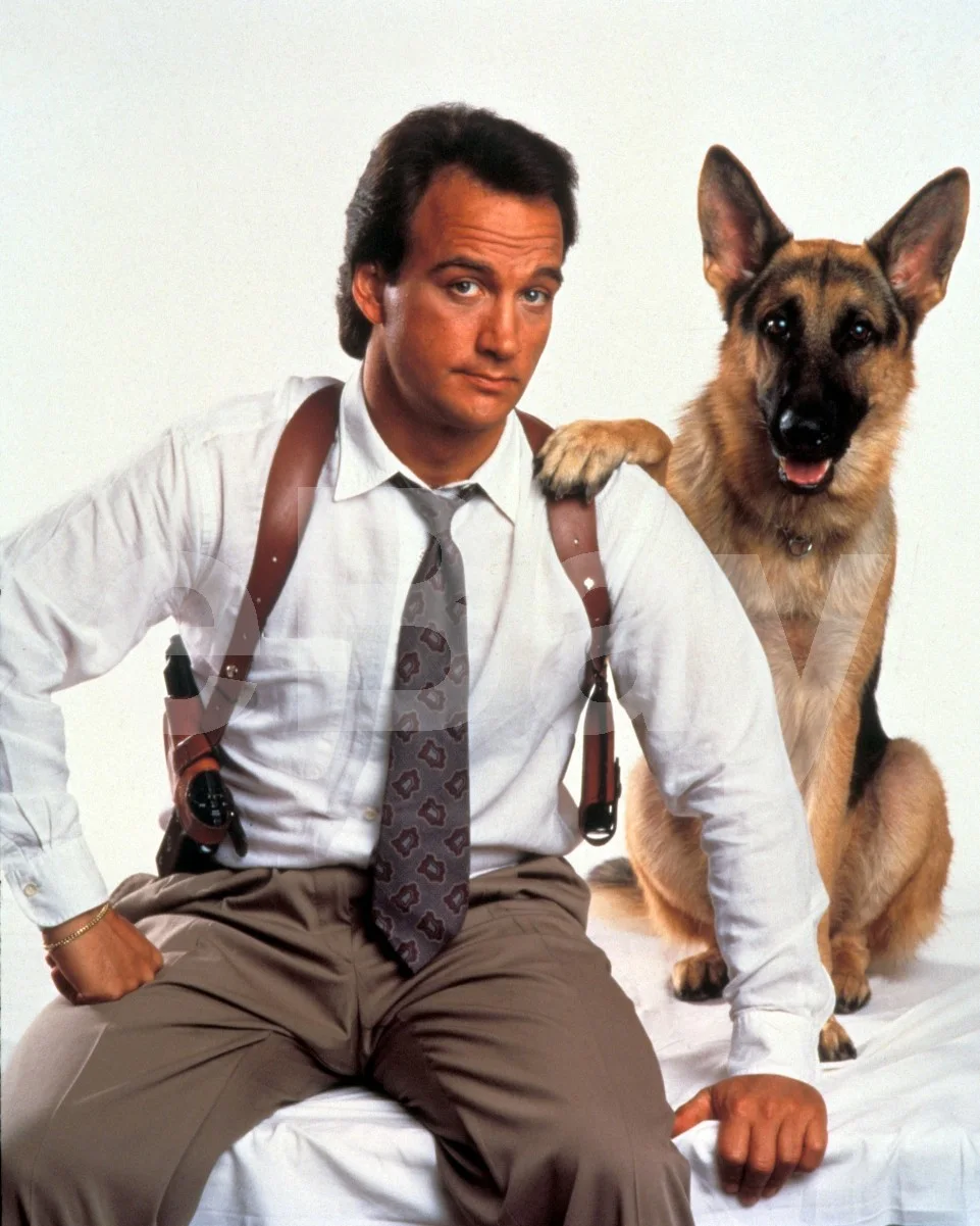 K9 (1989) James Belushi 16x12 Photo Poster Print, image 4