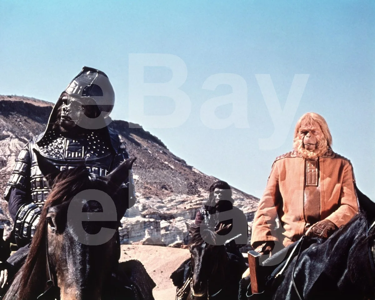 Beneath the Planet of the Apes (1970) James Gregory, Maurice Evans 16x12 Photo, изображение 4