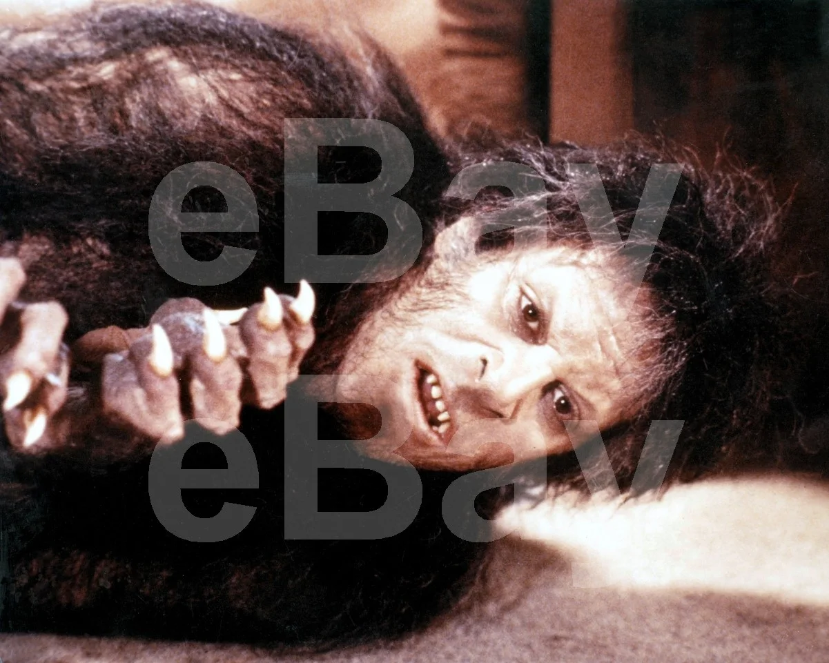 An American Werewolf in London (1981) David Naughton 16x12 Photo Poster Print, изображение 4