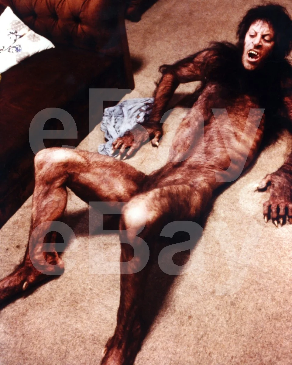 An American Werewolf in London (1981) David Naughton 16x12 Photo Poster Print, изображение 4