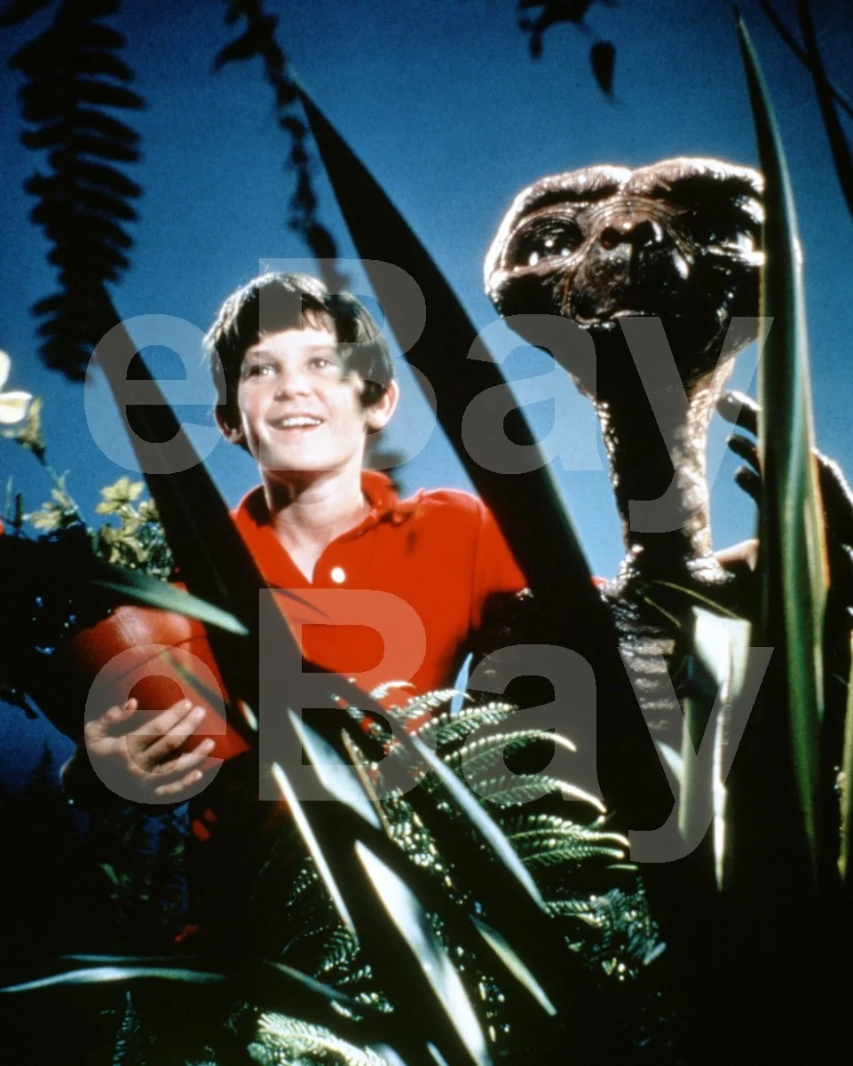 E.T the Extra-Terrestrial (1982) Henry Thomas 16x12 Photo Poster Print, image 4
