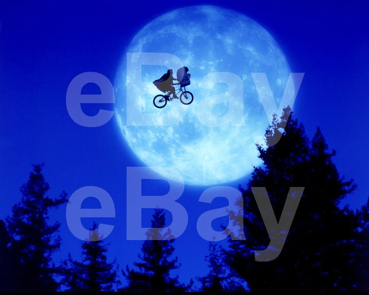 E.T the Extra-Terrestrial (1982) Henry Thomas 16x12 Photo Poster Print, image 4
