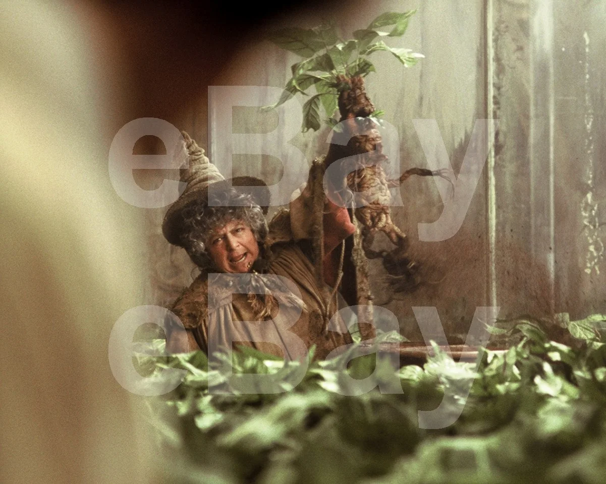 Harry Potter and the Chamber of Secrets (2002) Miriam Margolyes 16x12 Photo, изображение 4