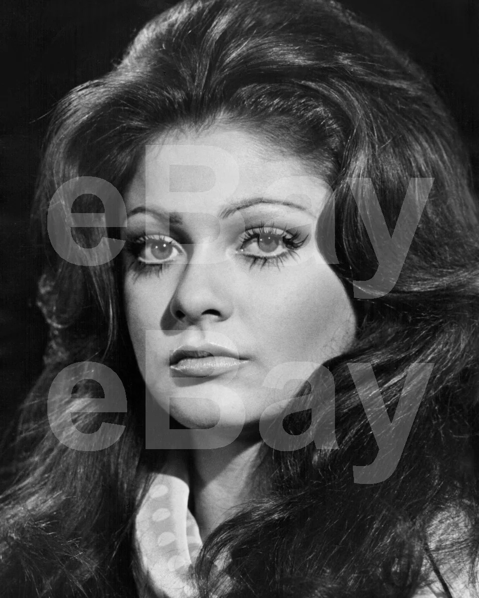 Beyond the Valley of the Dolls (1970) Cynthia Myers 16x12 Photo Poster Print, изображение 4
