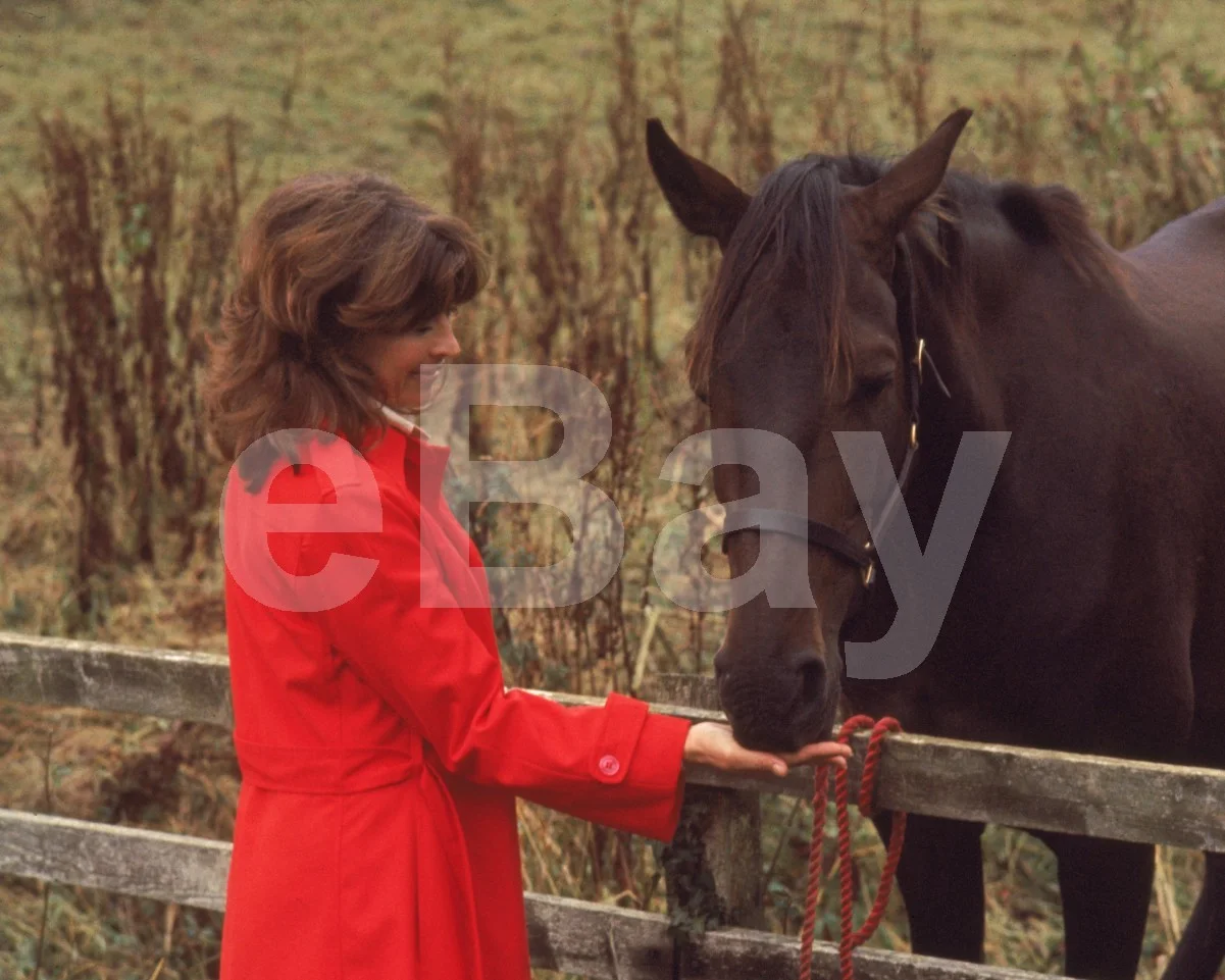 Unknown - Adrienne Barbeau 16x12 Photo Poster Print, изображение 4