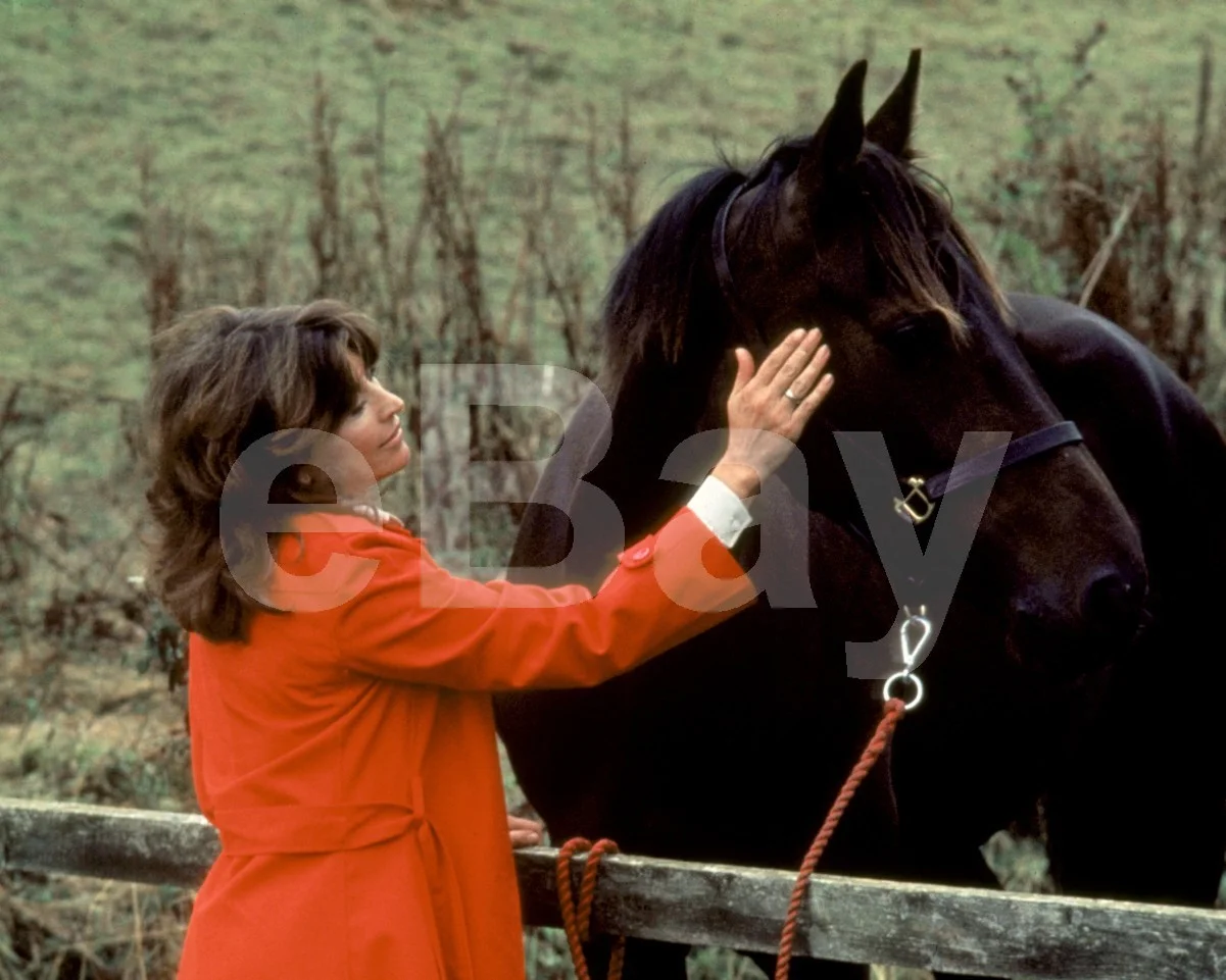 International Velvet (1978) Nanette Newman 16x12 Photo Poster Print, изображение 4