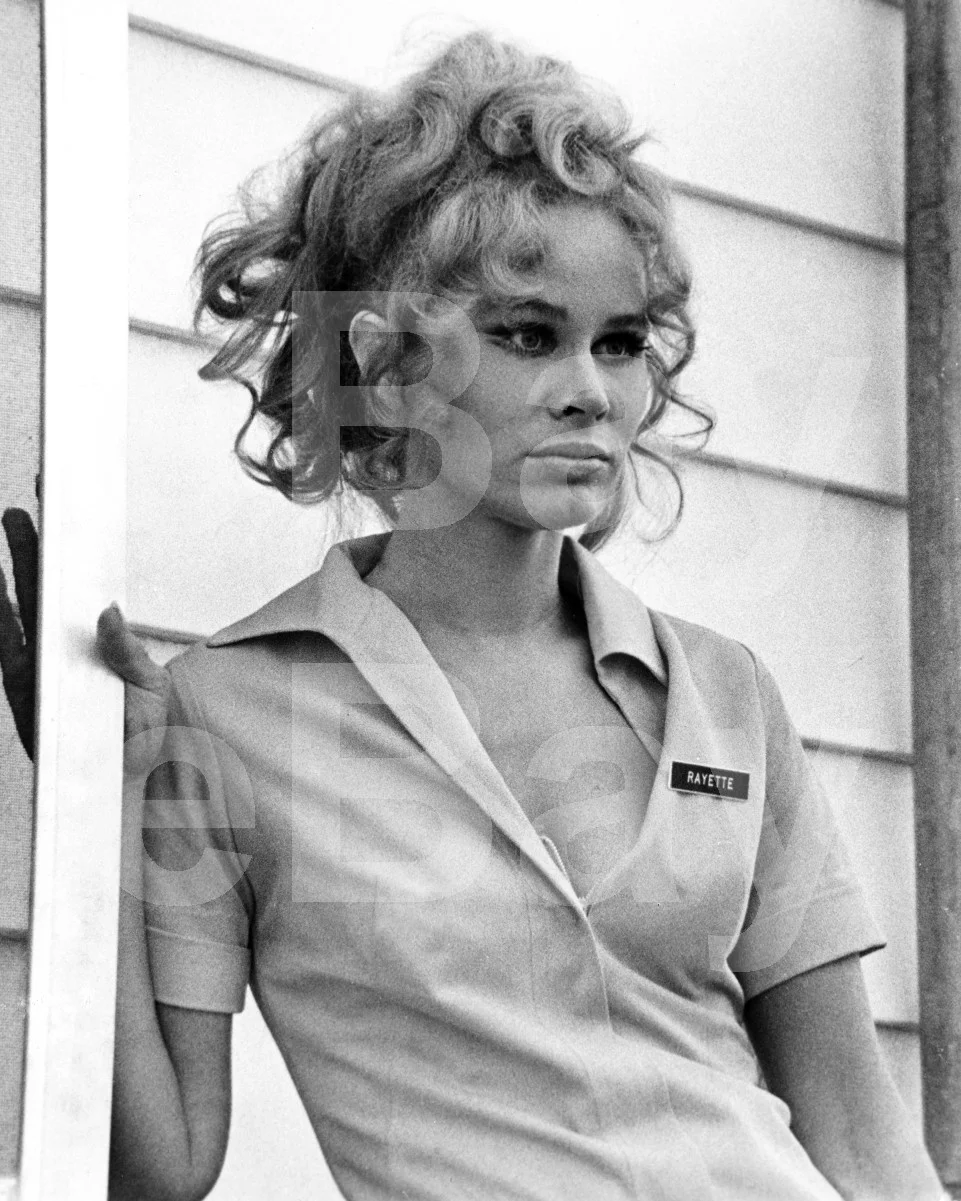 Five Easy Pieces (1970) Karen Black 16x12 Photo Poster Print, image 4