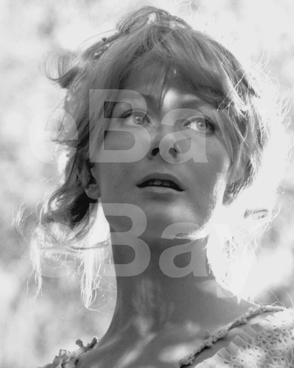 Camelot (1967) Vanessa Redgrave 16x12 Photo Poster Print, image 4