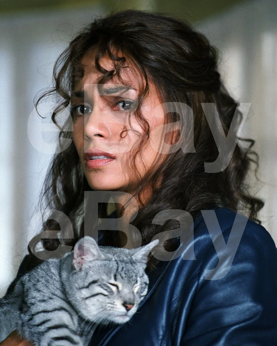 Catwoman (2004) Halle Berry 16x12 Photo Poster Print, изображение 4